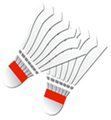 Hasseris Badminton Club